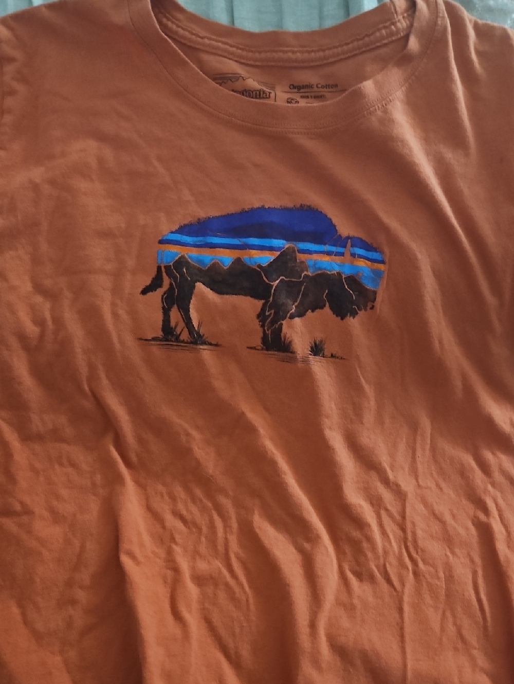 Patagonia Rust Orange Short-Sleeve Tee with Blue Buffalo Graphic